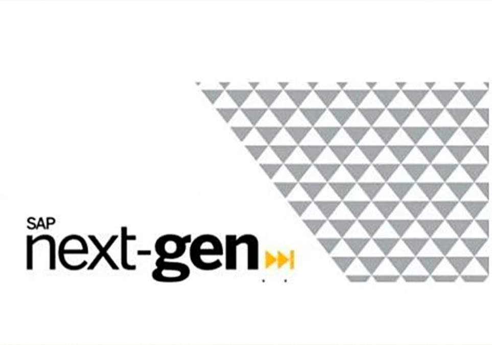 Daşary ýurt tejribelerinden -“SAP Next-Gen” 